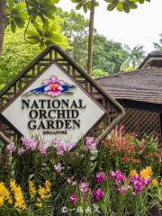 National Orchid Garden