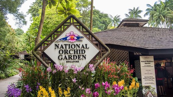 National Orchid Garden