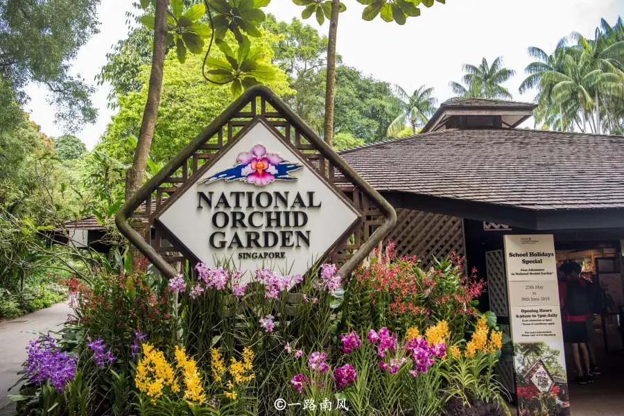 Национальный сад орхидей Сингапура