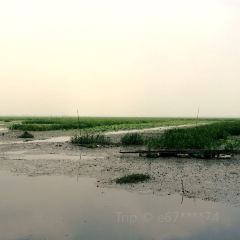 六户人家渔家乐 User Photo