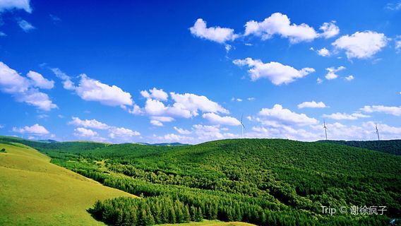 Fairy Valley Colorful Forest International Tourism Resort