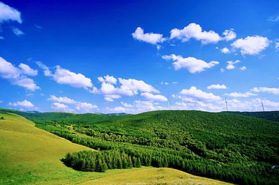 Fairy Valley Colorful Forest International Tourism Resort
