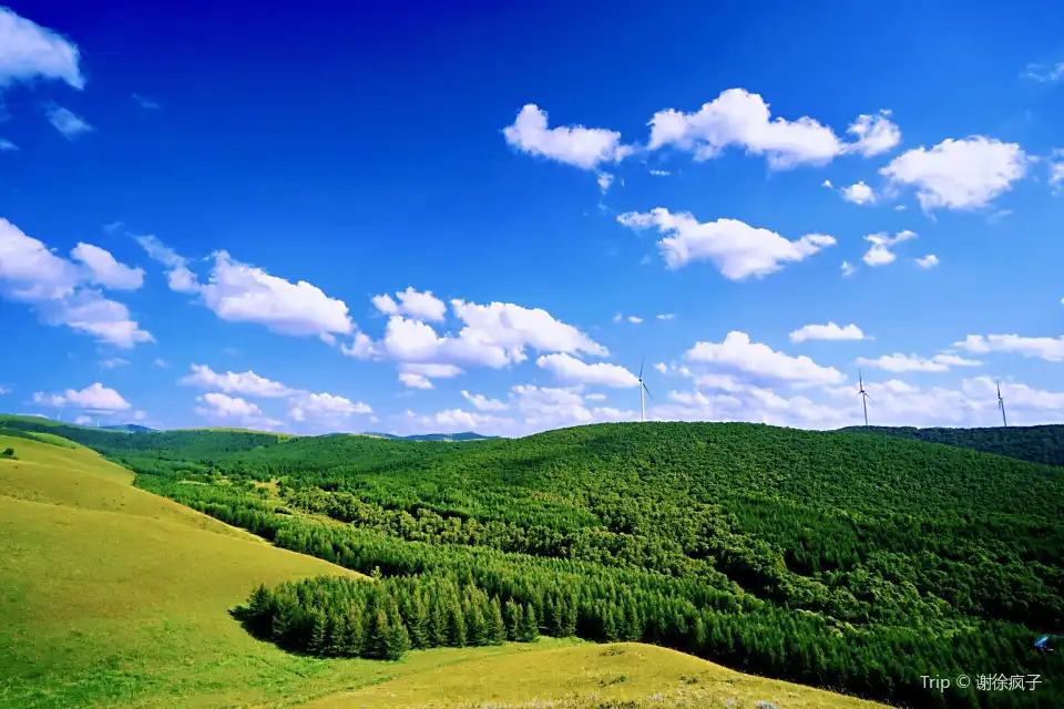 1_Fairy Valley Colorful Forest International Tourism Resort