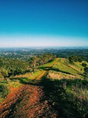 Black Hill Conservation Park Office