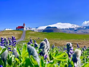 Snaefellsjokull