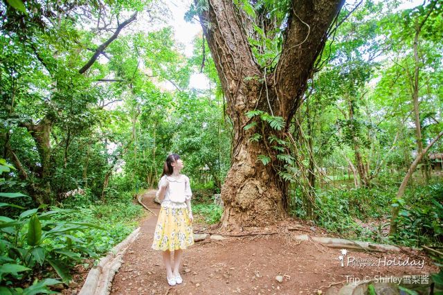 Palawan Wildlife Rescue and Consevation Center