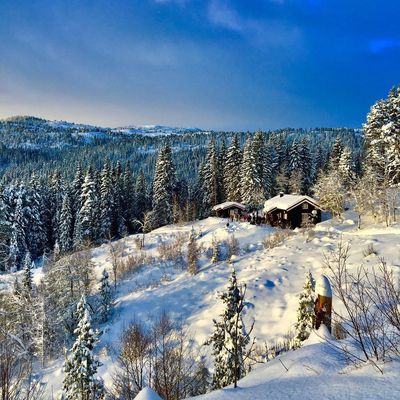 Bymarka