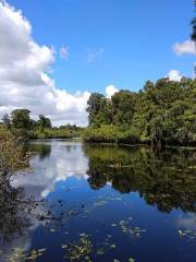 Lettuce Lake Park