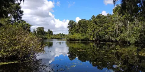 生菜湖地區公園