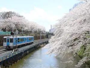 霞城公園