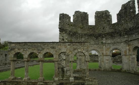 Mellifont Abbey