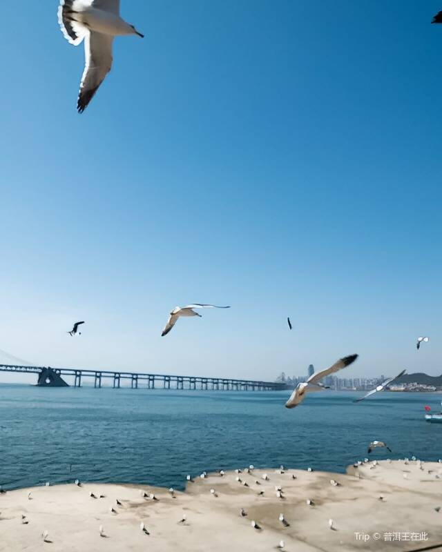 星海広場へのアクセス方法