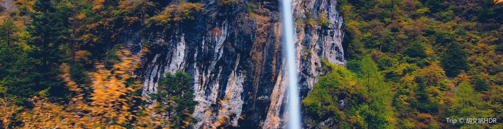 Fall Viewing Attractions