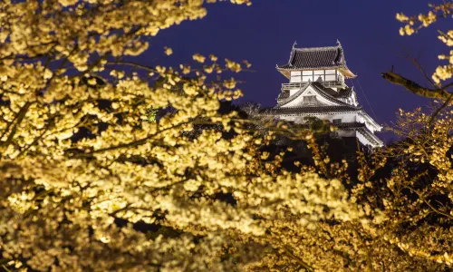 Château d'Inuyama