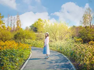 Shanghai Blooming Garden