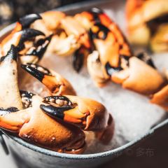 The Stoned Crab User Photo