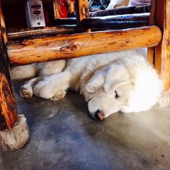 黑帐篷咖啡 User Photo