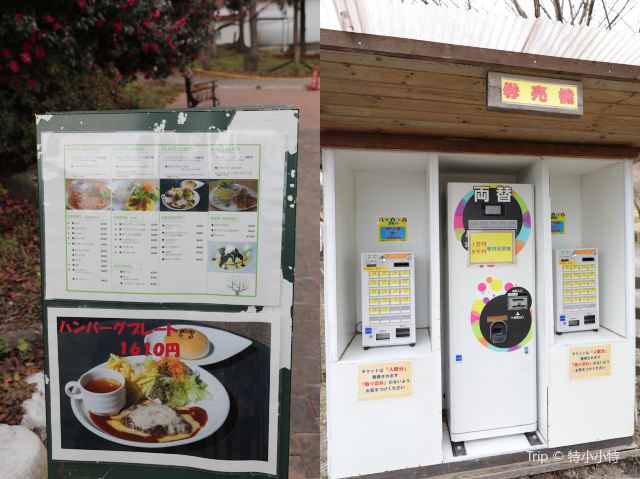 이카호 그린 목장