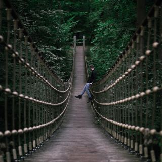 The Binger forest invites you to go for a stroll. On this day we were completely alone there and could enjoy the silence there.
