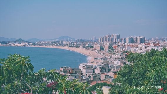 Đông Sơn, Chương Châu
