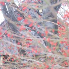 Yamanaka Dairy Farm Otaru Shop User Photo
