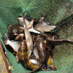 梅峰饭店 User Photo