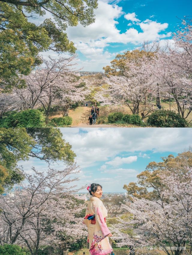 小城公園