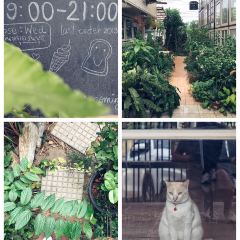 Butter UP cafe 여행 사진