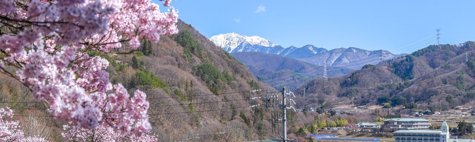 travel