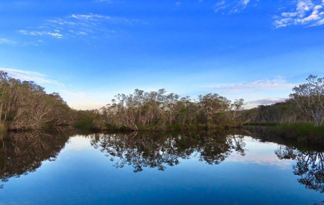 Everglades