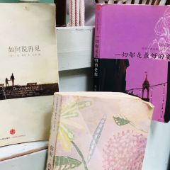 我的小島張用戶圖片