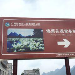 Xiangshuiguan'ezhuang User Photo
