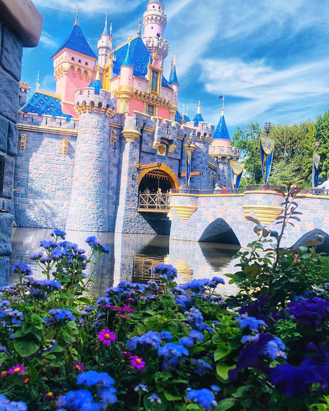 オレンジ Sleeping Beauty Castle 評判 案内 トリップドットコム