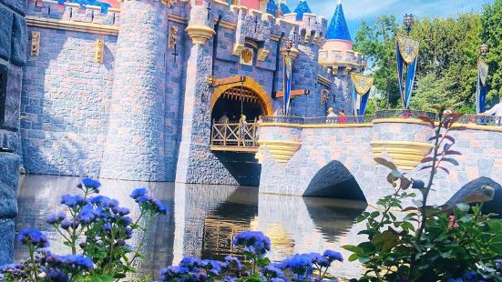 Sleeping Beauty Castle Walkthrough