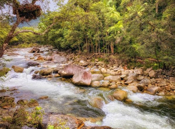 Daintree National Park