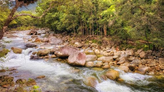 Daintree National Park