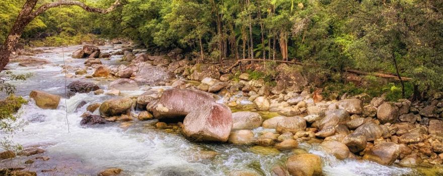 Daintree-Nationalpark