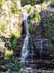 Minnamurra Falls Rd