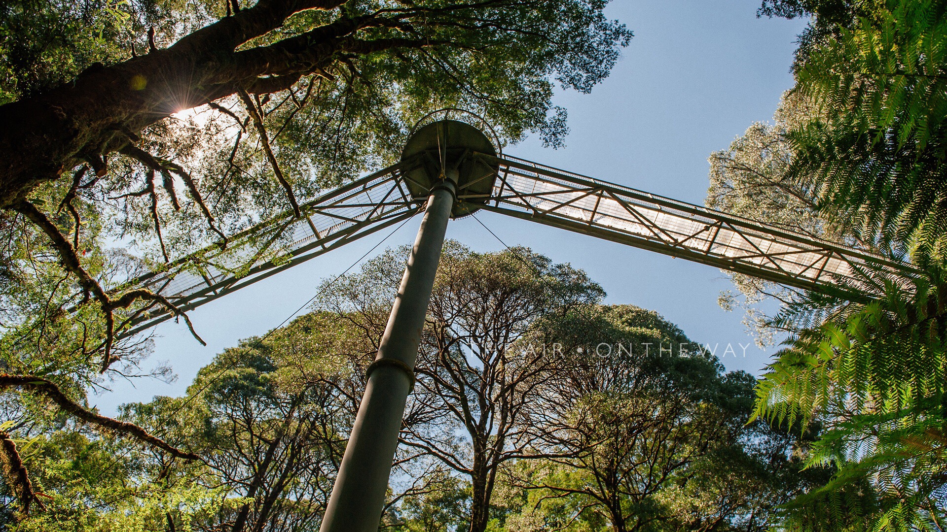Australia | Take a walk on the top of the rainforest tree 

Otway Fly Treetop is the longest and tallest canopy walkway in the world and a great family trip on the Great Ocean Road. project. There are two types of excursions, one is a rainforest walk for all ages, and the other is a relatively high-altitude cableway. As a non-adventure project enthusiast, I naturally still take a step on the top of the tree. 

Treetop Walk
 is about 2 kilometers in length. It takes about 1 hour to visit. It consists of a steel frame canopy walkway that is 600 meters long and 30 meters high, and walks between us through the canopy. There will be a spiral tower (Spiral Tower) with a height of 45 meters in the middle. From the perspective of God, the rainforest will have a different feeling. 

Zipline Tours
2.5 hours of cableway taxiing, including 8 cloud stops, 6 taxis, 2 suspension bridges, and 1 hour treetop walk. 

Address: Otway Fly Treetop Adventures