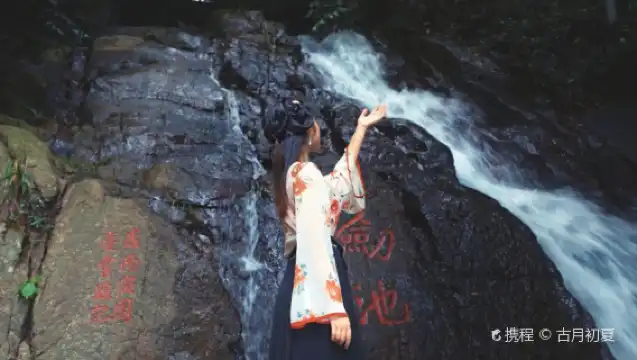 德清莫干山風景名勝區一日遊【【15人小團】慢節奏/慢生活】