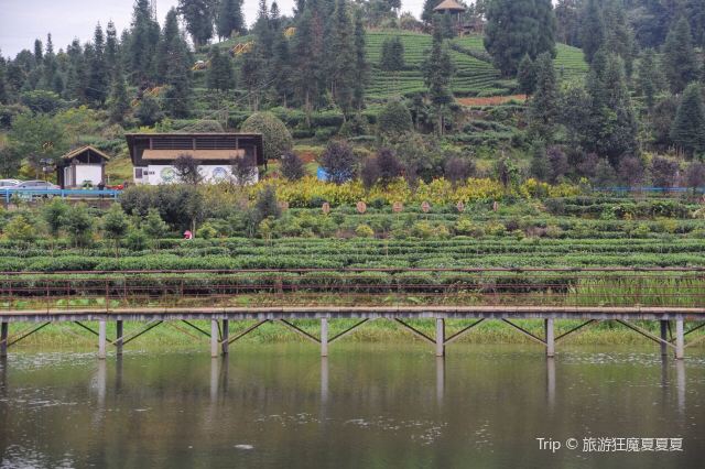 Qingyihu Tourism Scenic Area