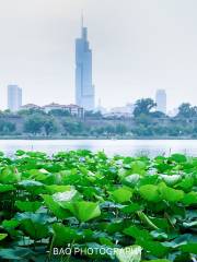 Xuanwu Lake