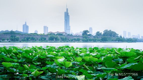 Xuanwu Lake