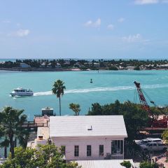 Half Shell Raw Bar User Photo