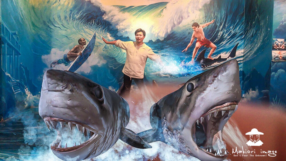 Practical Tips For Your Visit