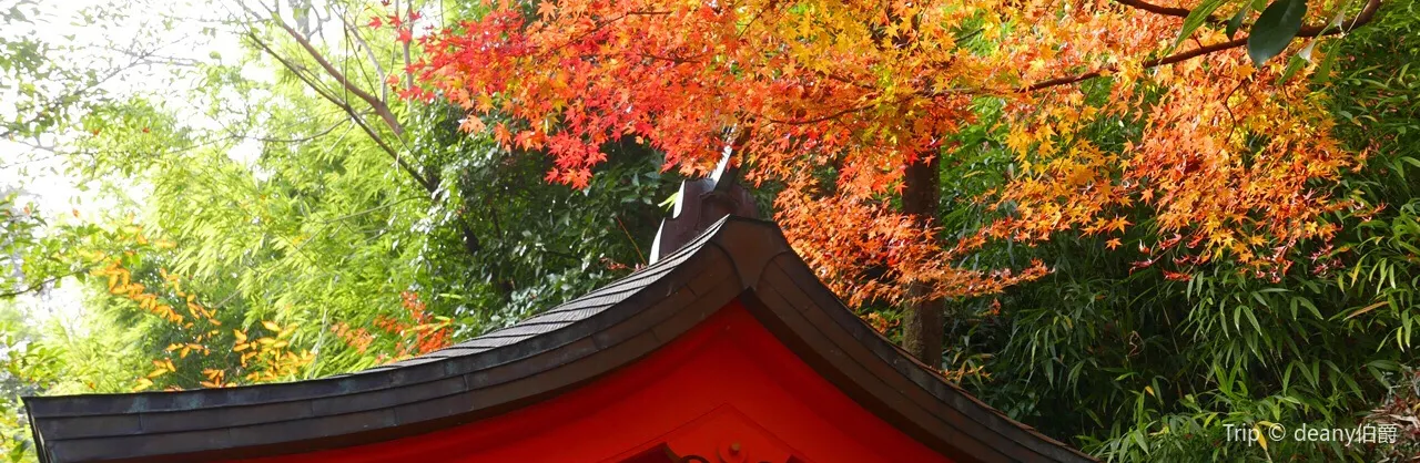 Fall Viewing Attractions