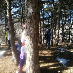 北镇龙岗子生态园 User Photo