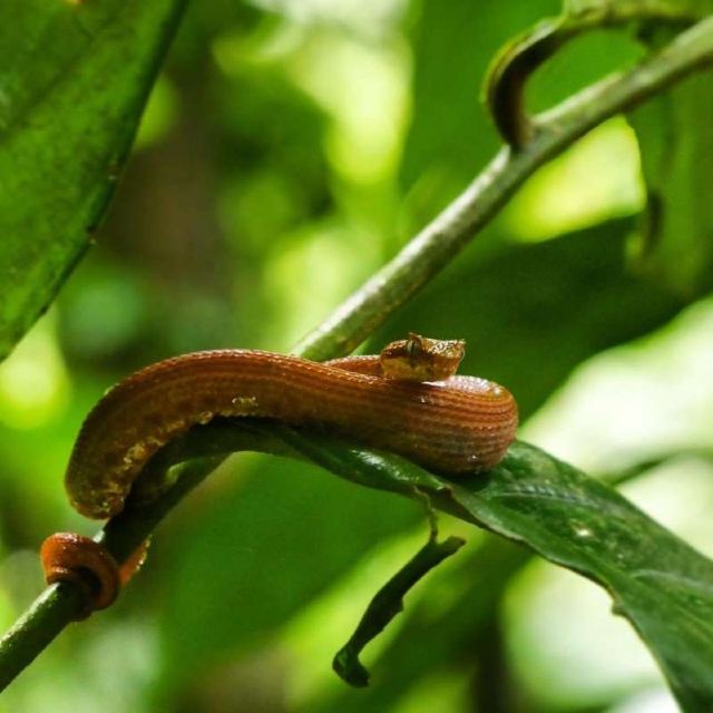 Mistico Arenal Hanging Bridges Park