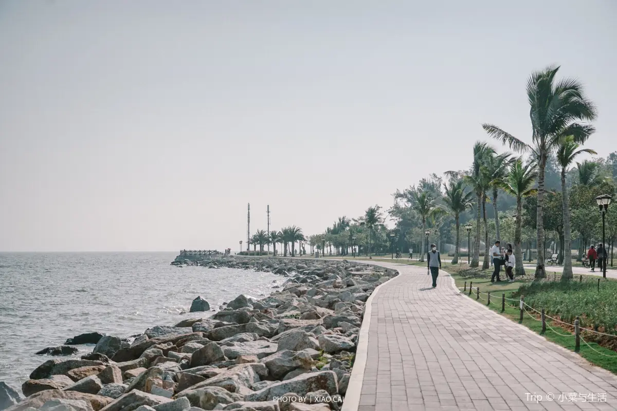 珠海 CityWalk, 野狸島