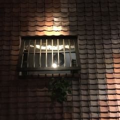 博鳌海鸭湖果园饭店 User Photo